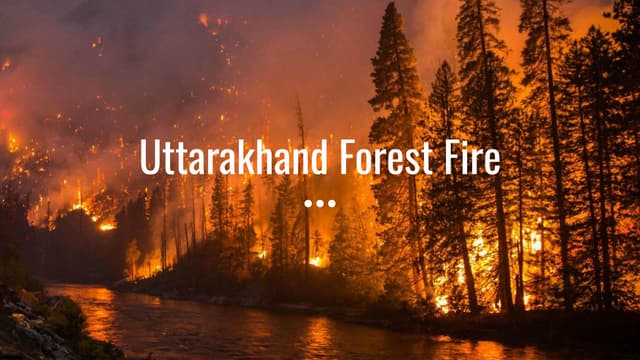 Uttarakhand Forest Fire Prevention: उत्तराखंड में जंगल की आग से बचाव कैसे करें?
